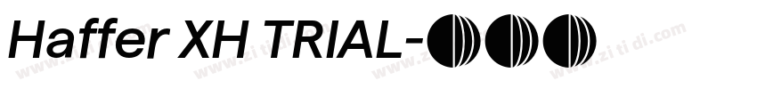 Haffer XH TRIAL字体转换